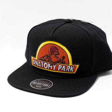 Rick and Morty Anatomy Park Snapback Hat - BUCKET POPCORN